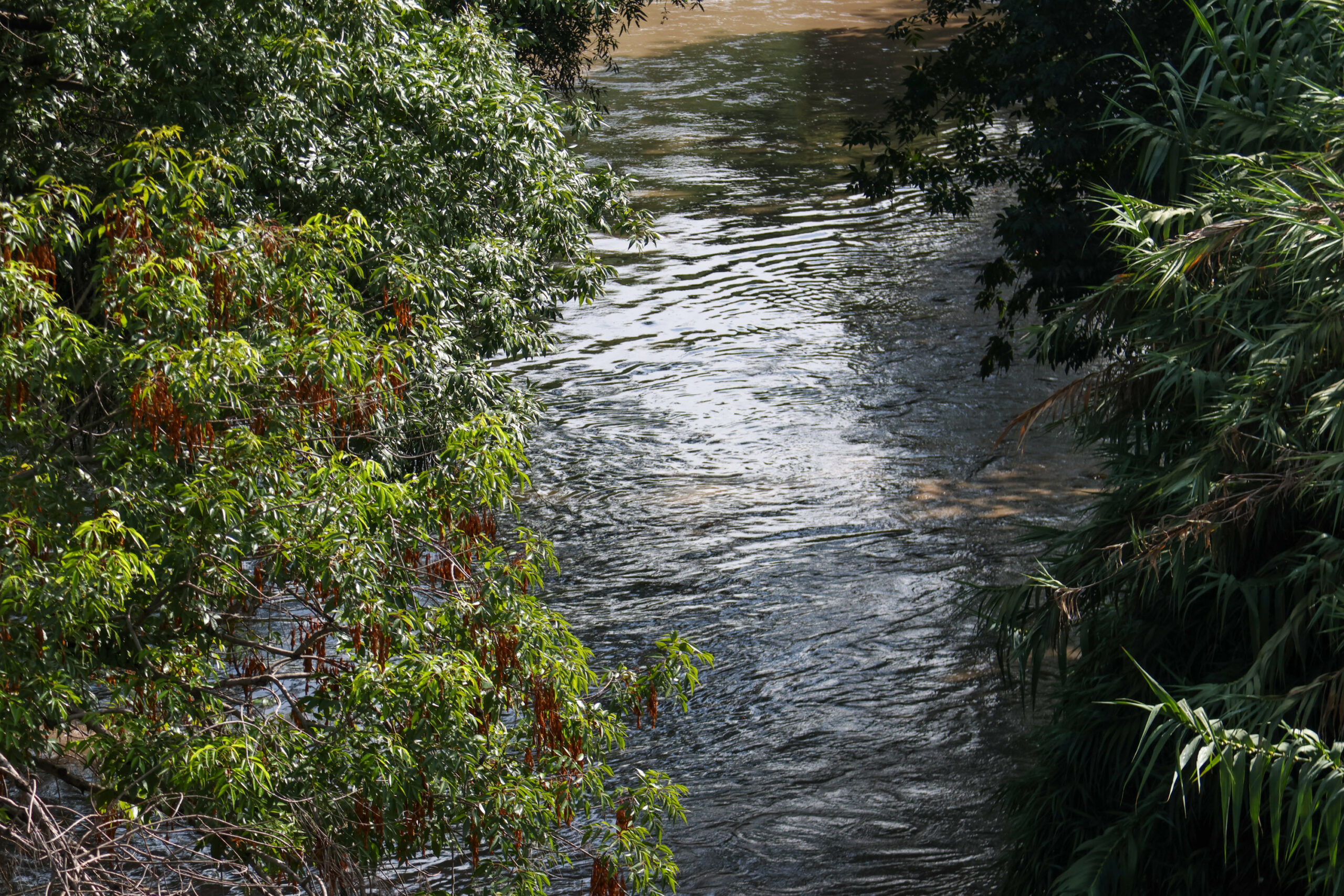 Crecida del río Atoyac mantiene en alerta a vecinos de Romero Vargas