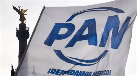 PAN propone juzgar como adultos a jóvenes de 15 años por delitos graves